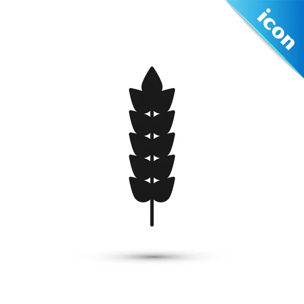 Cereales negros con arroz, trigo, maíz, avena, centeno, cebada icono aislado sobre fondo blanco. Orejas de pan de trigo símbolos. Ilustración vectorial — Vector de stock