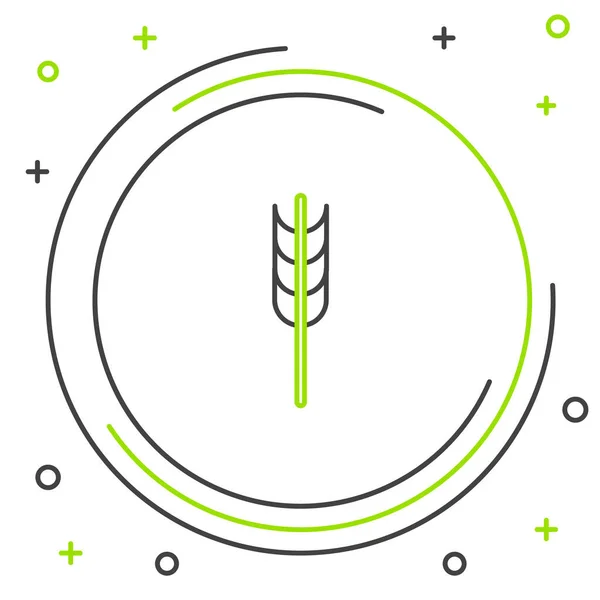 Черная и зеленая линия Зерна с рисом, пшеницей, кукурузой, овса, ржи, ячмень икона изолированы на белом фоне. Символы пшеничного хлеба. Красочная концепция контура. Векторная миграция — стоковый вектор