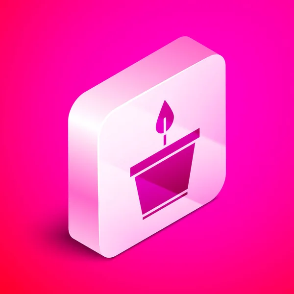 Isometric Plant in pot icon isolated on pink background. Plant growing in a pot. Potted plant sign. Silver square button. Vector Illustration — ストックベクタ