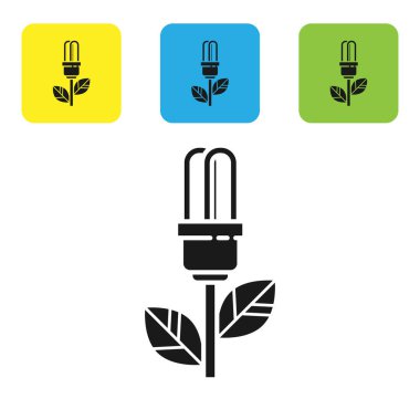 Beyaz arkaplanda yaprak simgesi olan siyah ampul. Çevre enerjisi kavramı. Alternatif enerji kavramı. Renkli kare düğmeleri ayarlayın. Vektör İllüstrasyonu