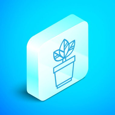 Mavi arka planda izole edilmiş saksı simgesindeki izometrik çizgi Çiçekler. Bir tencerede yetişen bitki. Saksı bitki işareti. Gümüş kare düğme. Vektör İllüstrasyonu