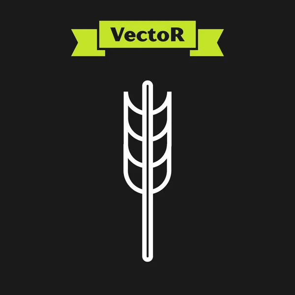 Vita linjen Spannmål som med ris, vete, majs, havre, råg, korn ikon isolerad på svart bakgrund. Öron av vetebröd symboler. Vektor Illustration — Stock vektor