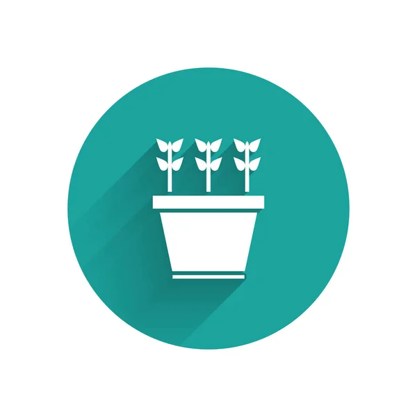 Weiße Pflanzen Topf Symbol Isoliert Mit Langem Schatten Pflanzen Wachsen — Stockvektor