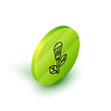 Beyaz zemin üzerinde yaprak simgesi olan Isometric çizgi ampulü. Çevre enerjisi kavramı. Alternatif enerji kavramı. Yeşil daire düğmesi. Vektör İllüstrasyonu