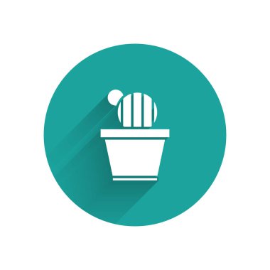 Beyaz Kaktüs ve uzun gölgeli tencere simgesinde sulu. Tencerede yetişen bir bitki. Saksı bitkisi işareti. Yeşil daire düğmesi. Vektör İllüstrasyonu