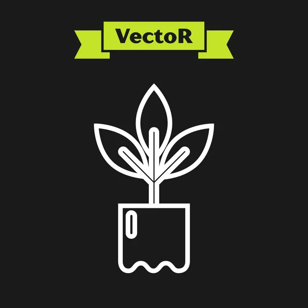 Línea blanca Planta en botella icono aislado sobre fondo negro. Semillas y plántulas. Firma de hojas. La naturaleza de la hoja. Ilustración vectorial — Vector de stock