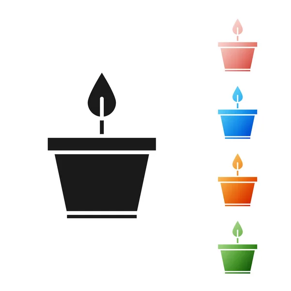 Plante noire en pot icône isolée sur fond blanc. Plante poussant en pot. Panneau végétal en pot. Définir des icônes colorées. Illustration vectorielle — Image vectorielle