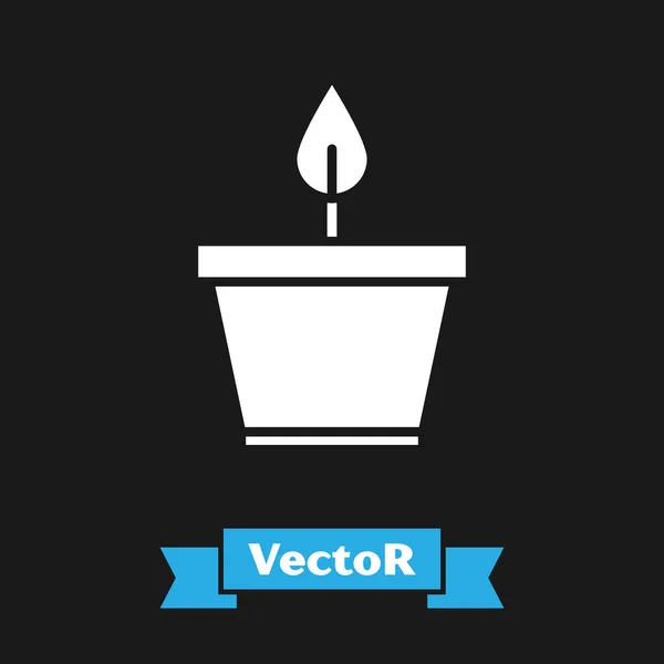 Planta blanca en maceta icono aislado sobre fondo negro. Planta creciendo en una maceta. Signo de planta en maceta. Ilustración vectorial — Vector de stock