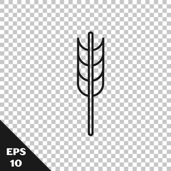 Чорна Лінія Зернові Набори Рисом Пшеницею Кукурудзою Вівсом Житом Ячменем — стоковий вектор