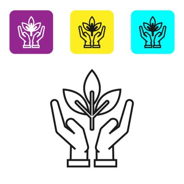Beyaz arka plan üzerinde izole çevre koruma simgesi elinde Siyah hat Bitki. Tohum ve fide. Fidan dikimi. Ekoloji kavramı. Simgeleri renkli kare düğmeleri ayarlayın. Vektör İllüstrasyonu