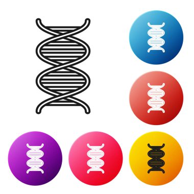 Beyaz arka planda siyah çizgi DNA sembolü simgesi izole edildi. Renkli daire düğmelerini ayarlayın. Vektör İllüstrasyonu
