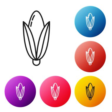 Beyaz arkaplanda siyah çizgi mısır simgesi izole edildi. Renkli daire düğmelerini ayarlayın. Vektör İllüstrasyonu