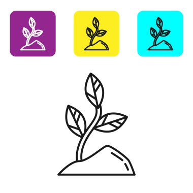 Siyah çizgi Filiz simgesi beyaz arka plan üzerinde izole. Tohum ve fide. Yaprak işareti. Yaprak doğası. Simgeleri renkli kare düğmeleri ayarlayın. Vektör İllüstrasyonu