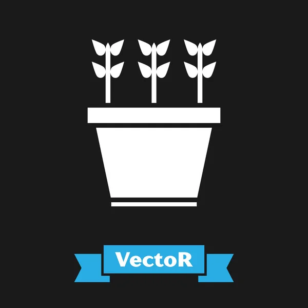 Weiße Pflanzen im Topf Symbol isoliert auf schwarzem Hintergrund. Pflanzen wachsen in einem Topf. Topfpflanzenschild. Vektorillustration — Stockvektor