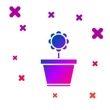 Beyaz arka planda izole pot simgesinde renk çiçek. Bitki bir tencerede büyüyor. Potted bitki işareti. Degrade rasgele dinamik şekiller. Vektör Illustration