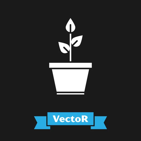 White Plant in Topf Symbol isoliert auf schwarzem Hintergrund. Pflanze, die im Topf wächst. Topfpflanzenschild. Vektorillustration — Stockvektor