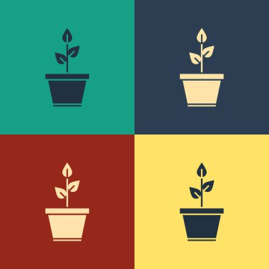 Çömlek simgesindeki renk bitkisi renk arkaplanında izole edildi. Tencerede yetişen bir bitki. Saksı bitkisi işareti. Klasik tarzda çizim. Vektör İllüstrasyonu