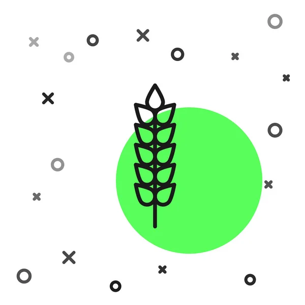 Black Line Cereals Set Rice Wheat Corn Oats Rye Barley — Stock Vector