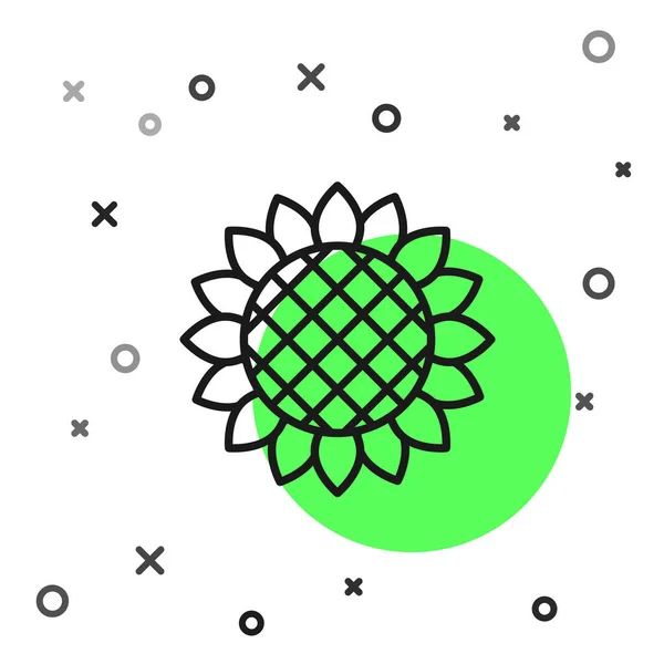Black Line Sunflower Icon Isolated White Background Vector Illustration — ストックベクタ