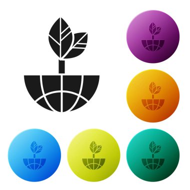 Siyah Dünya küresi ve beyaz arka plan üzerinde izole yaprak simgesi. Dünya veya Dünya işareti. Geometrik şekiller. Çevre kavramı. Simgeleri renkli daire düğmeleri ayarlayın. Vektör İllüstrasyonu