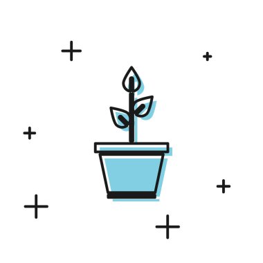 Esrar ikonundaki siyah bitki beyaz arkaplanda izole edilmiş. Tencerede yetişen bir bitki. Saksı bitkisi işareti. Vektör İllüstrasyonu