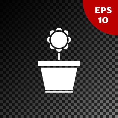 Beyaz çiçek pot simgesi şeffaf koyu arka planda izole. Bitki bir tencerede büyüyor. Potted bitki işareti. Vektör Illustration