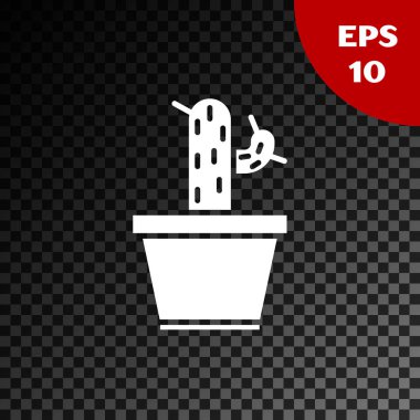 Beyaz kaktüs ve pot simgesi şeffaf koyu arka planda izole etli. Bitki bir tencerede büyüyor. Potted bitki işareti. Vektör Illustration