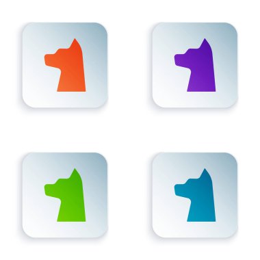 Beyaz arkaplanda izole edilmiş renkli kedi simgesi. Kare düğmelere simgeleri yerleştir. Vektör İllüstrasyonu