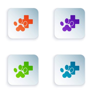 Beyaz arka planda izole edilmiş renkli veteriner kliniği sembolü. Çapraz hastane işareti. Stilize pati izi köpek ya da kedi. Evcil hayvan ilk yardım işareti. Kare düğmelere simgeleri yerleştir. Vektör İllüstrasyonu
