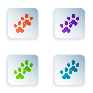 Beyaz arkaplanda izole edilmiş renkli Paw yazdırma simgesi. Köpek ya da kedi pençesi izi. Hayvan izleri. Kare düğmelere simgeleri yerleştir. Vektör İllüstrasyonu