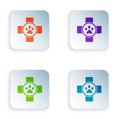 Beyaz arka planda izole edilmiş renkli veteriner kliniği sembolü. Çapraz hastane işareti. Stilize pati izi köpek ya da kedi. Evcil hayvan ilk yardım işareti. Kare düğmelere simgeleri yerleştir. Vektör İllüstrasyonu