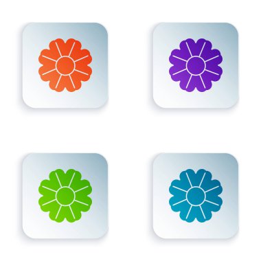 Renkli çiçek simgesi beyaz arkaplanda izole edildi. Kare düğmelere simgeleri yerleştir. Vektör İllüstrasyonu