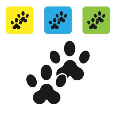Siyah Paw baskı simgesi beyaz arka planda izole. Köpek veya kedi pençe baskı. Hayvan parkuru. Set simgeleri renkli kare düğmeler. Vektör Illustration