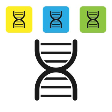 Siyah DNA sembolü simgesi beyaz arkaplanda izole edildi. Renkli kare düğmeleri ayarlayın. Vektör İllüstrasyonu