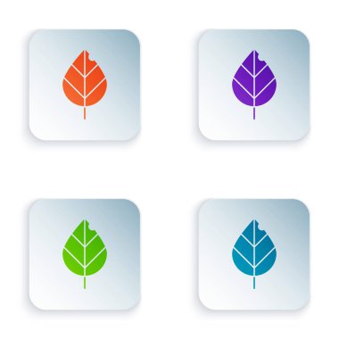 Renkli Yaprak simgesi beyaz arkaplanda izole edildi. Taze doğal ürün sembolü. Kare düğmelere simgeleri yerleştir. Vektör İllüstrasyonu