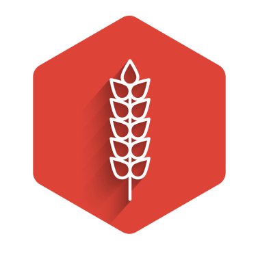 Pirinç, buğday, mısır, yulaf, çavdar ve uzun gölgeli arpa ikonu içeren beyaz çizgili mısır gevrekleri. Buğday ekmeği sembolleri. Kırmızı altıgen düğmesi. Vektör İllüstrasyonu