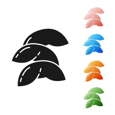 Beyaz arka planda siyah Çin fal kurabiyesi ikonu var. Geleneksel Asya. Simgeleri renklendirin. Vektör İllüstrasyonu