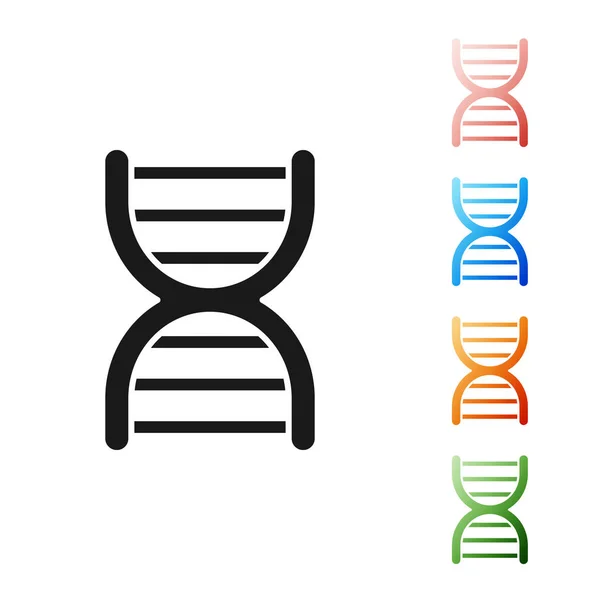 Black DNA symbol icon isolated on white background. Set icons colorful. Vector Illustration — Stock Vector