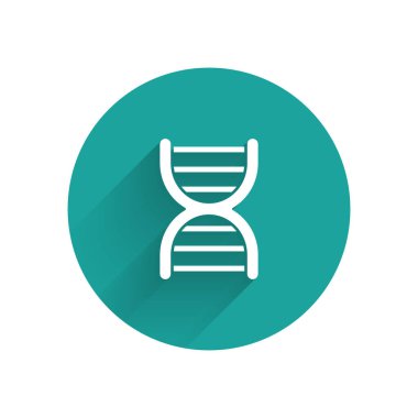 Beyaz DNA sembolü uzun gölgeli izole edilmiş. Yeşil daire düğmesi. Vektör İllüstrasyonu