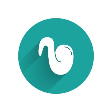 Beyaz Kızarmış Tavuk Kanadı ikonu uzun gölgeli. Yeşil daire düğmesi. Vektör İllüstrasyonu