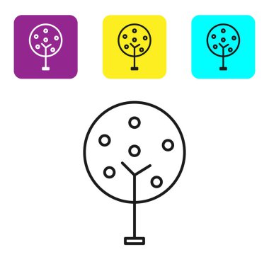 Beyaz arka planda yalıtılmış siyah çizgi Ağacı simgesi. Orman sembolü. Simgeleri renkli kare düğmeleri ayarlayın. Vektör İllüstrasyonu