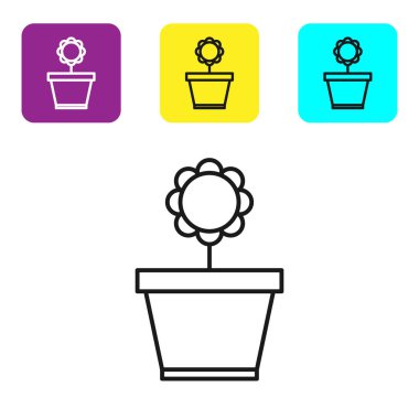 Beyaz arka planda yalıtılmış saksı simgesinde siyah çizgi Çiçek. Bir tencerede yetişen bitki. Saksı bitki işareti. Simgeleri renkli kare düğmeleri ayarlayın. Vektör İllüstrasyonu