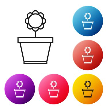 Beyaz arka planda yalıtılmış saksı simgesinde siyah çizgi Çiçek. Bir tencerede yetişen bitki. Saksı bitki işareti. Simgeleri renkli daire düğmeleri ayarlayın. Vektör İllüstrasyonu