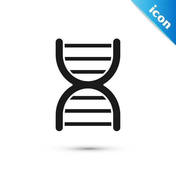 Black DNA symbol icon isolated on white background. Vector Illustration — Stock Vector