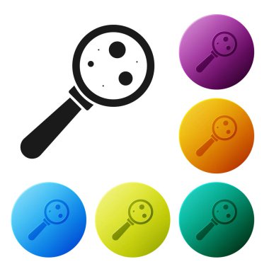 Beyaz zemin üzerinde izole edilmiş büyüteç simgesi altındaki siyah mikroorganizmalar. Bakteri ve mikroplar, hücre kanseri, mikrop, virüs, mantar. Renkli daire düğmelerini ayarlayın. Vektör İllüstrasyonu