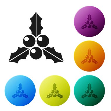 Beyaz arka planda siyah dal viburum veya guelder gül ikonu izole. Mutlu Noeller ve mutlu yıllar. Renkli daire düğmelerini ayarlayın. Vektör İllüstrasyonu