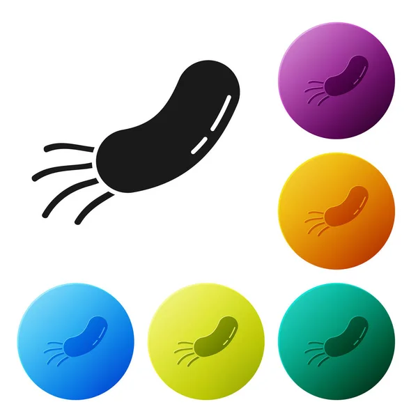 Black Bacteria icon isolated on white background. Bacteria and germs, microorganism disease causing, cell cancer, microbe, virus, fungi. Set icons colorful circle buttons. Vector Illustration — Stock Vector