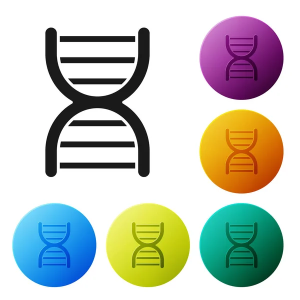 Ícone de símbolo de DNA preto isolado no fundo branco. Definir ícones coloridos botões círculo. Ilustração vetorial —  Vetores de Stock