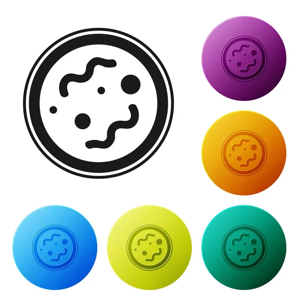 Black Bacteria icon isolated on white background. Bacteria and germs, microorganism disease causing, cell cancer, microbe, virus, fungi. Set icons colorful circle buttons. Vector Illustration — Stock Vector