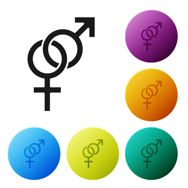 黑色性别图标孤立于白色背景上。男人和女人的象征。性符号。设置图标彩色圆圈按钮。矢量插图 — 图库矢量图片